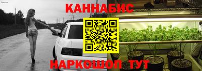 крисы Ачхой-Мартан