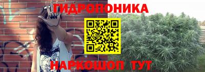 крисы Ачхой-Мартан