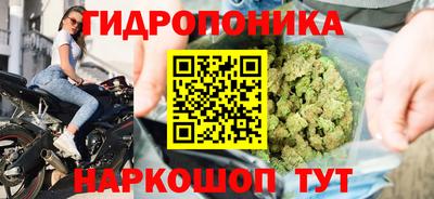 дурь Аша